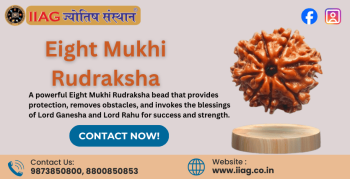 Eight Mukhi Rudraksha: Meaning, Benefits & How It Transforms Your Life