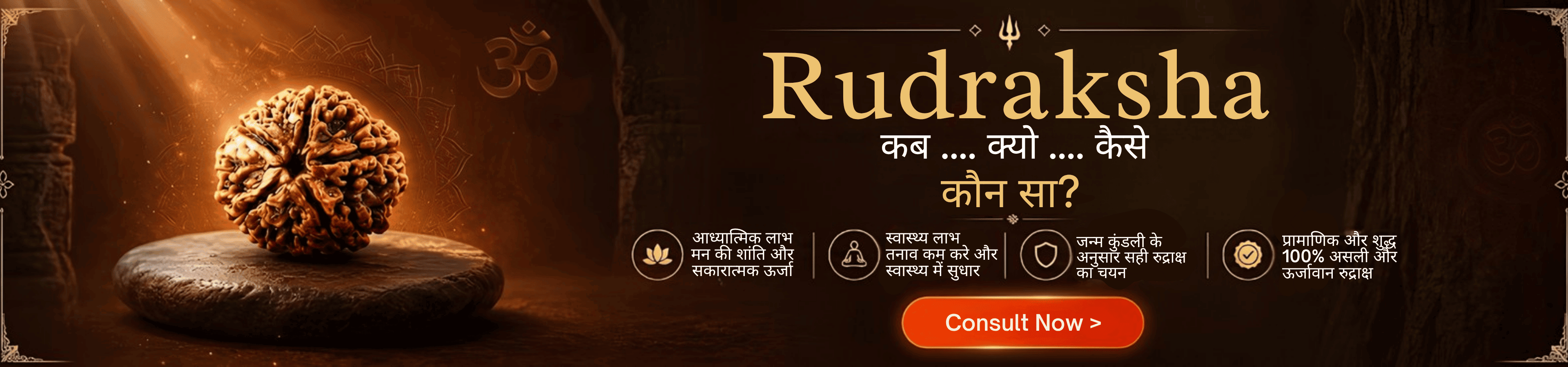 Rudraksha